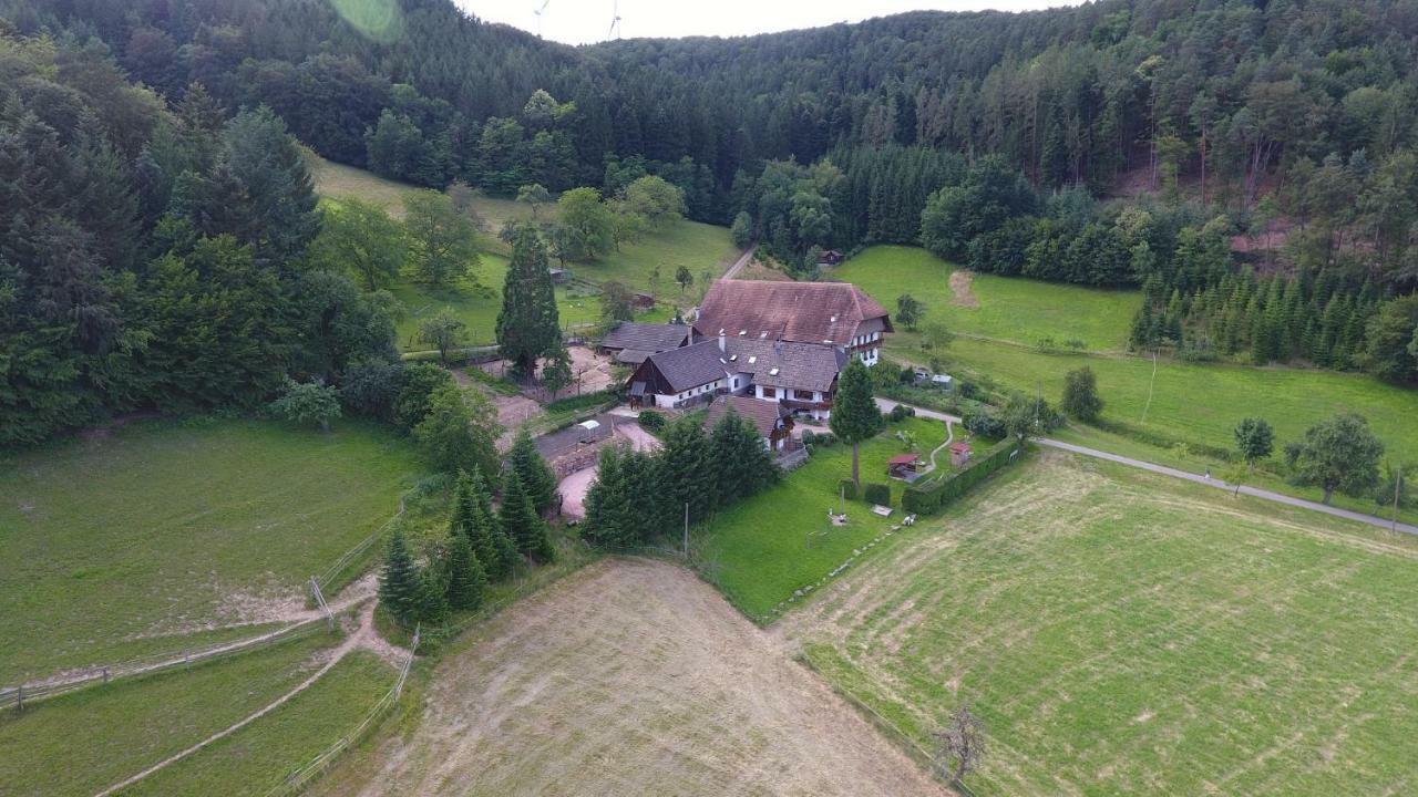 Kempfenhof Seelbach  Exterior foto
