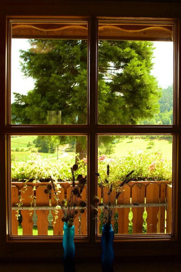 Kempfenhof Seelbach  Exterior foto